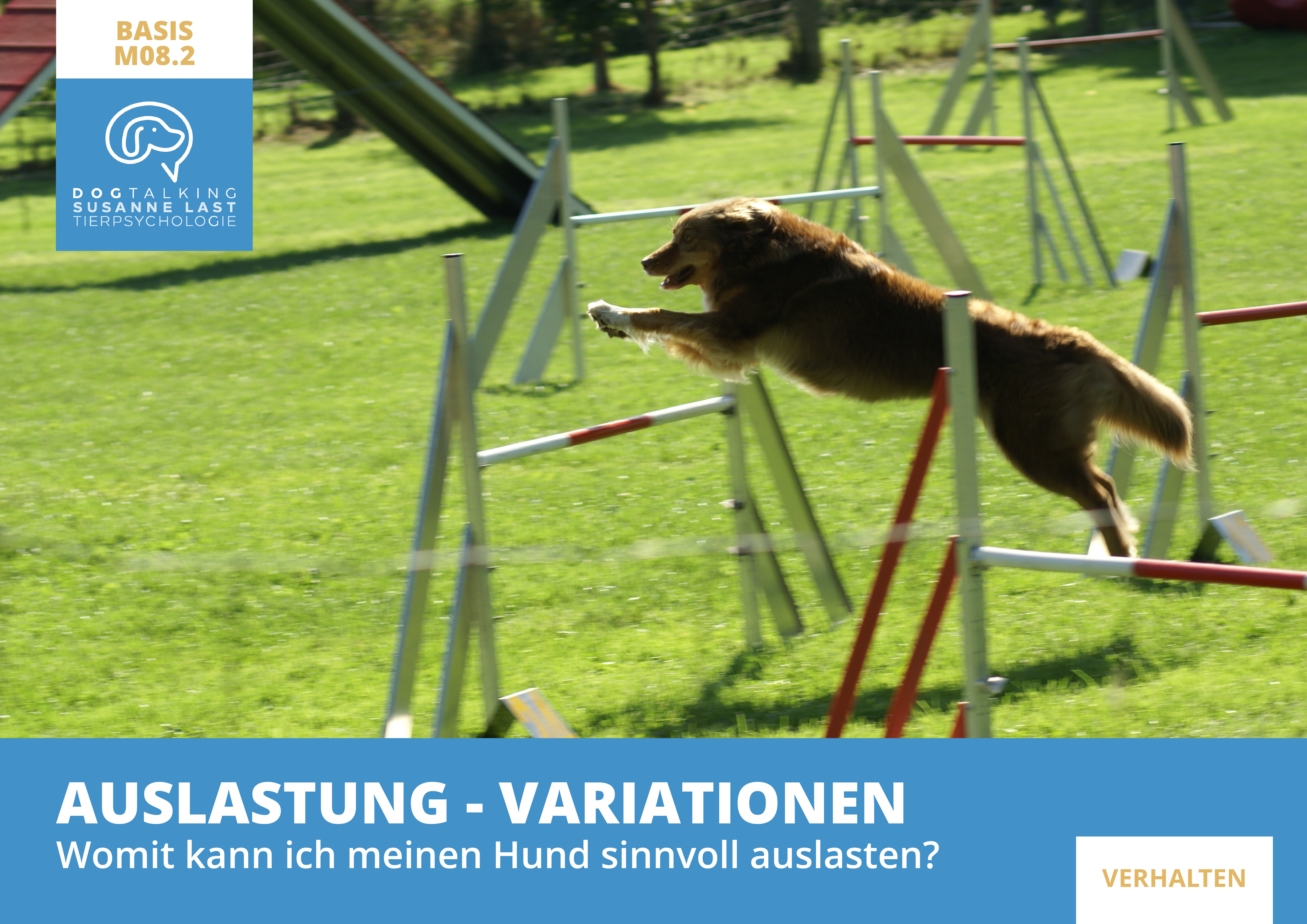 M08.2 Auslastung - Variationen - Womit kann ich meinen Hund sinnvoll auslasten?