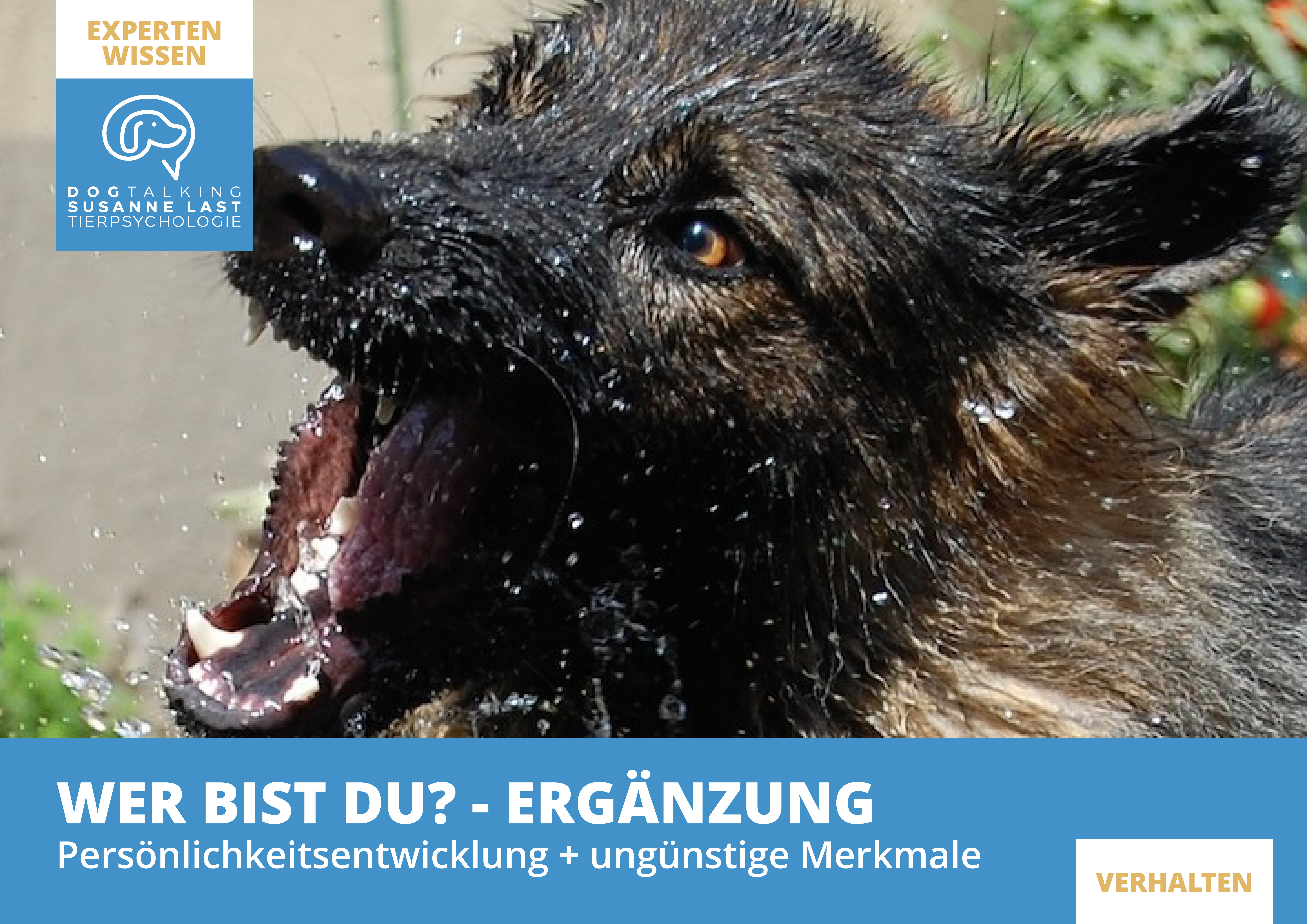 Wer bist Du? - Ergänzung Persönlichkeiten erkennen - Ergänzung