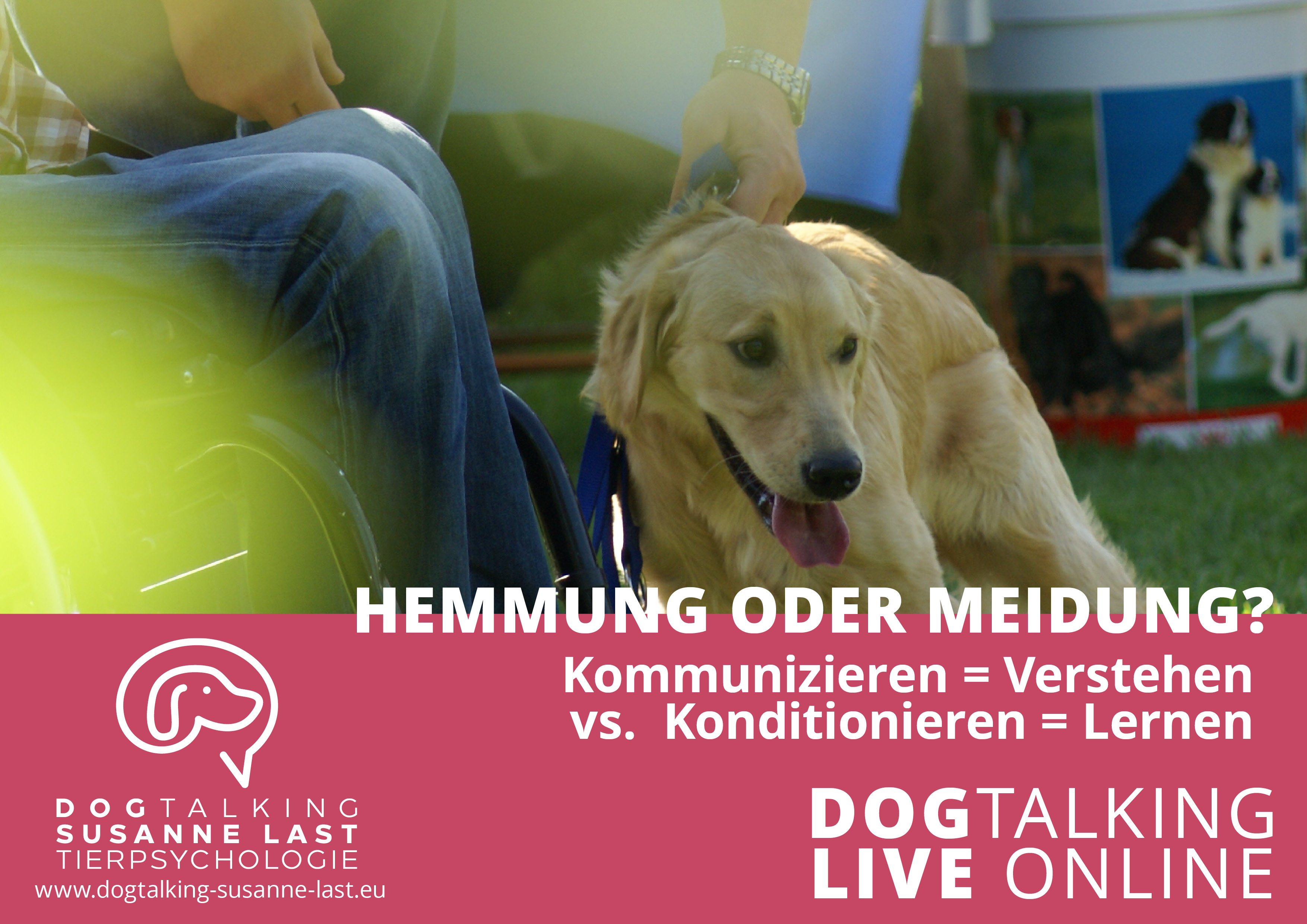 Hemmung oder Meidung - Kommunizieren = Verstehen vs. Konditionieren = Lernen 