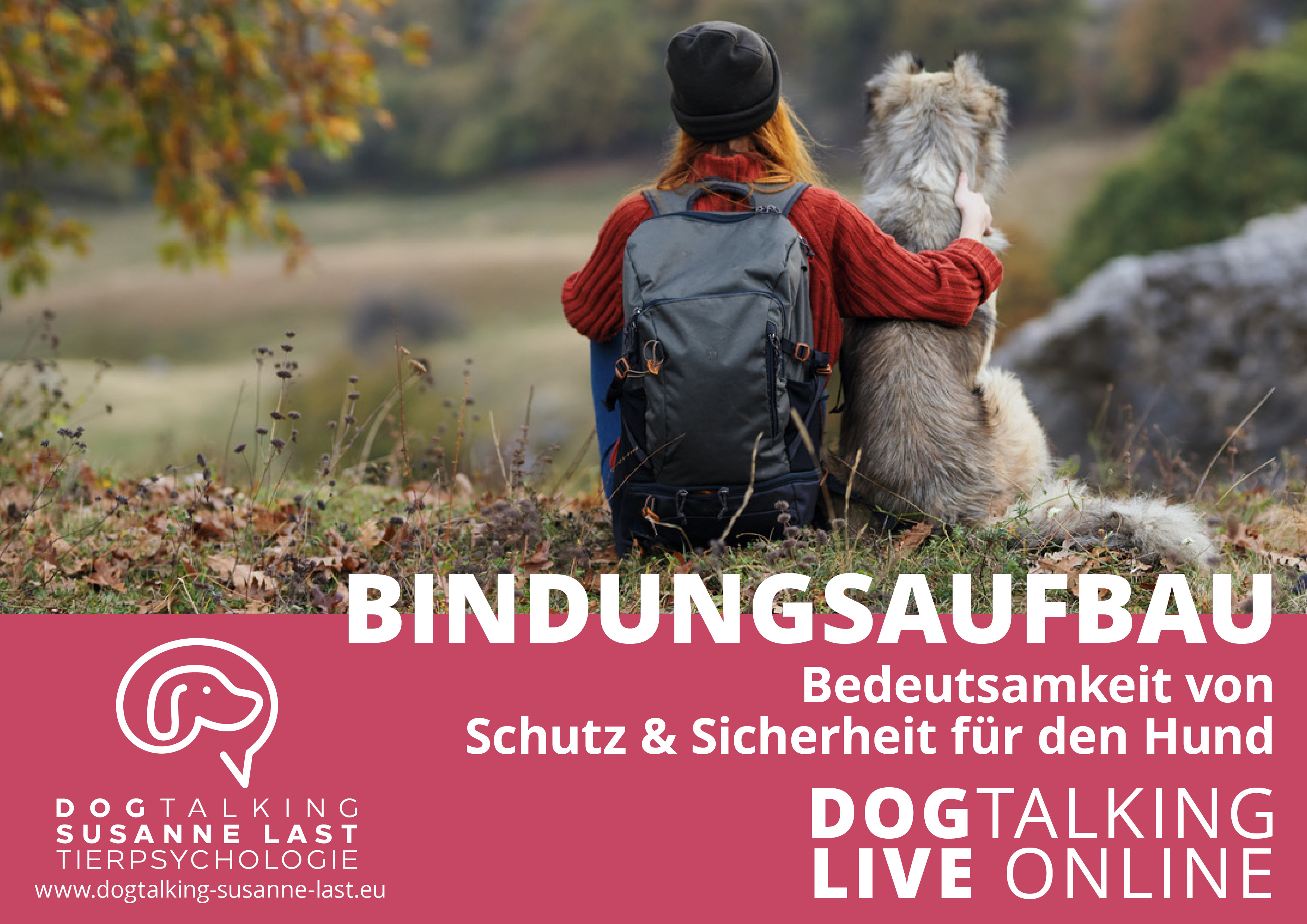Bindungsaufbau - Bedeutsamkeit von Schutz & Sicherheit für den Hund