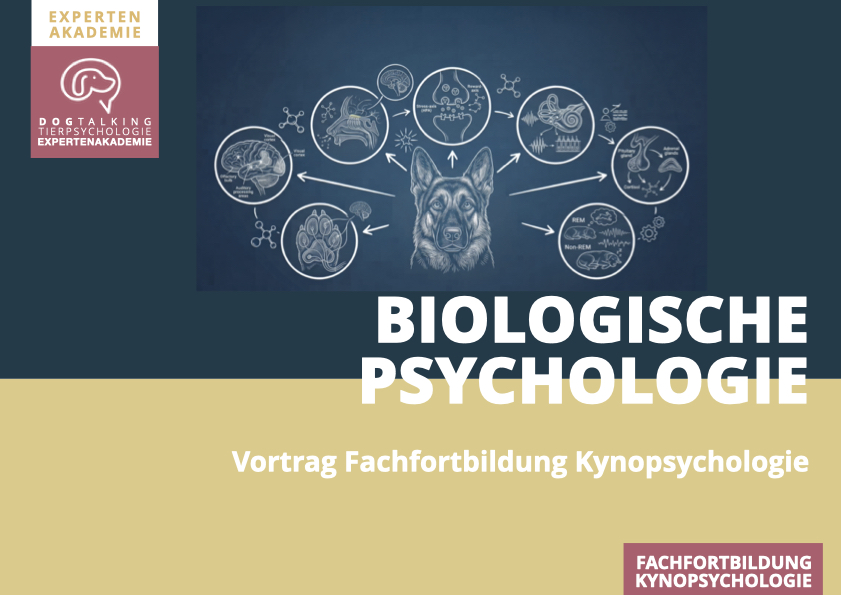19.11.2026 Einführung in die Biologische Psychologie des Hundes - Vortrag