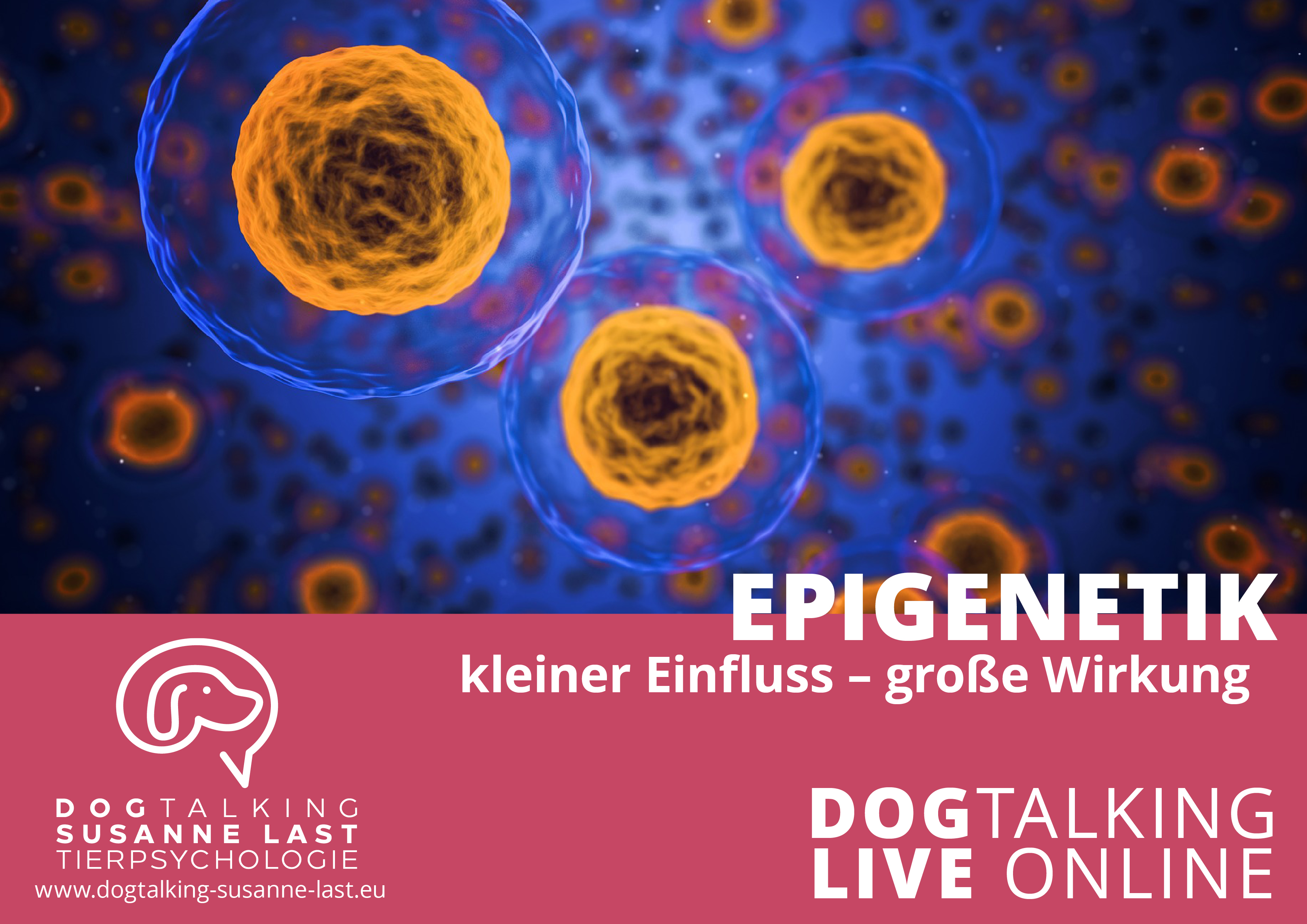 Epigenetik - kleiner Einfluss - grosse Wirkung