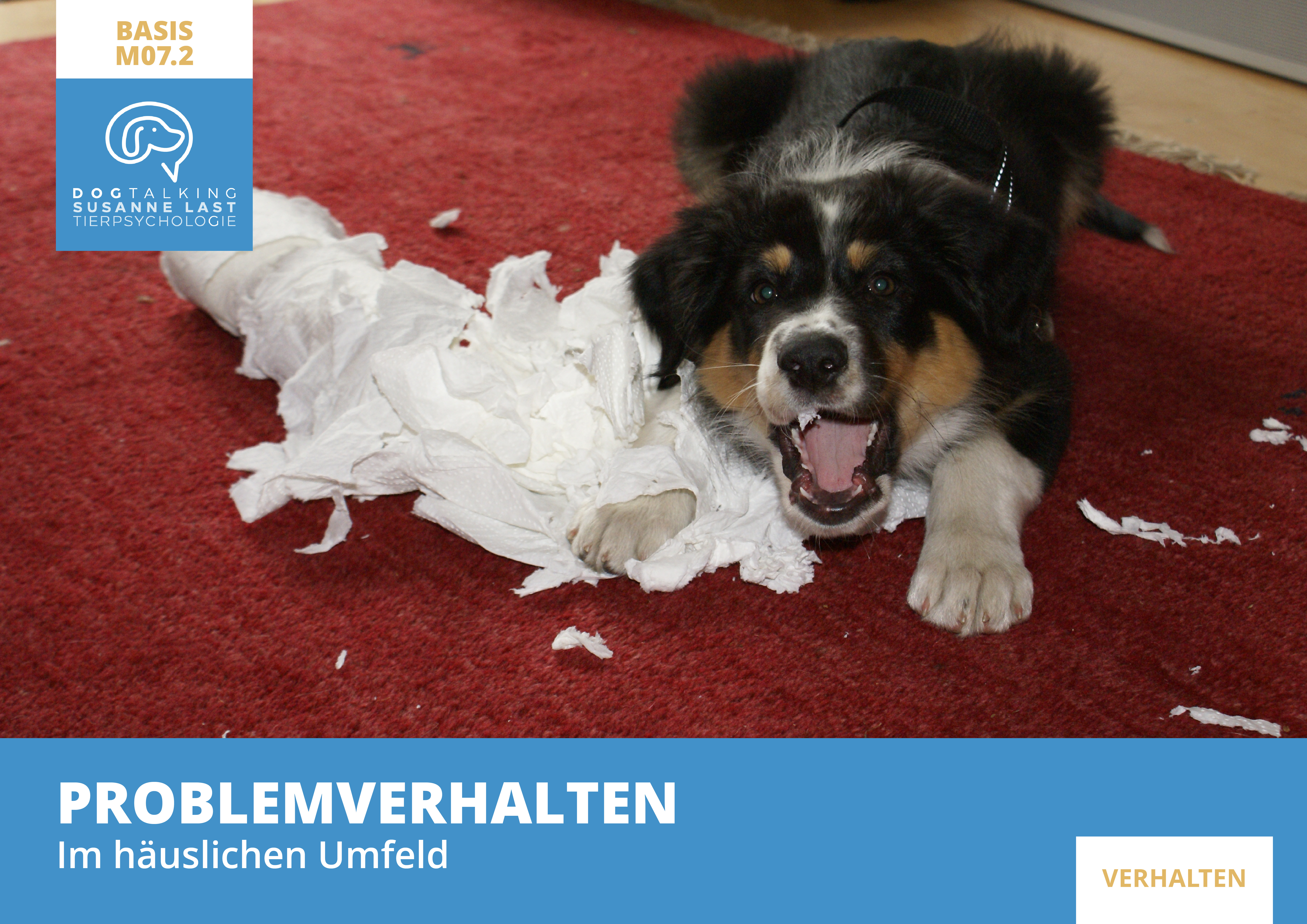 M07.2 Problemverhalten im häuslichen Umfeld