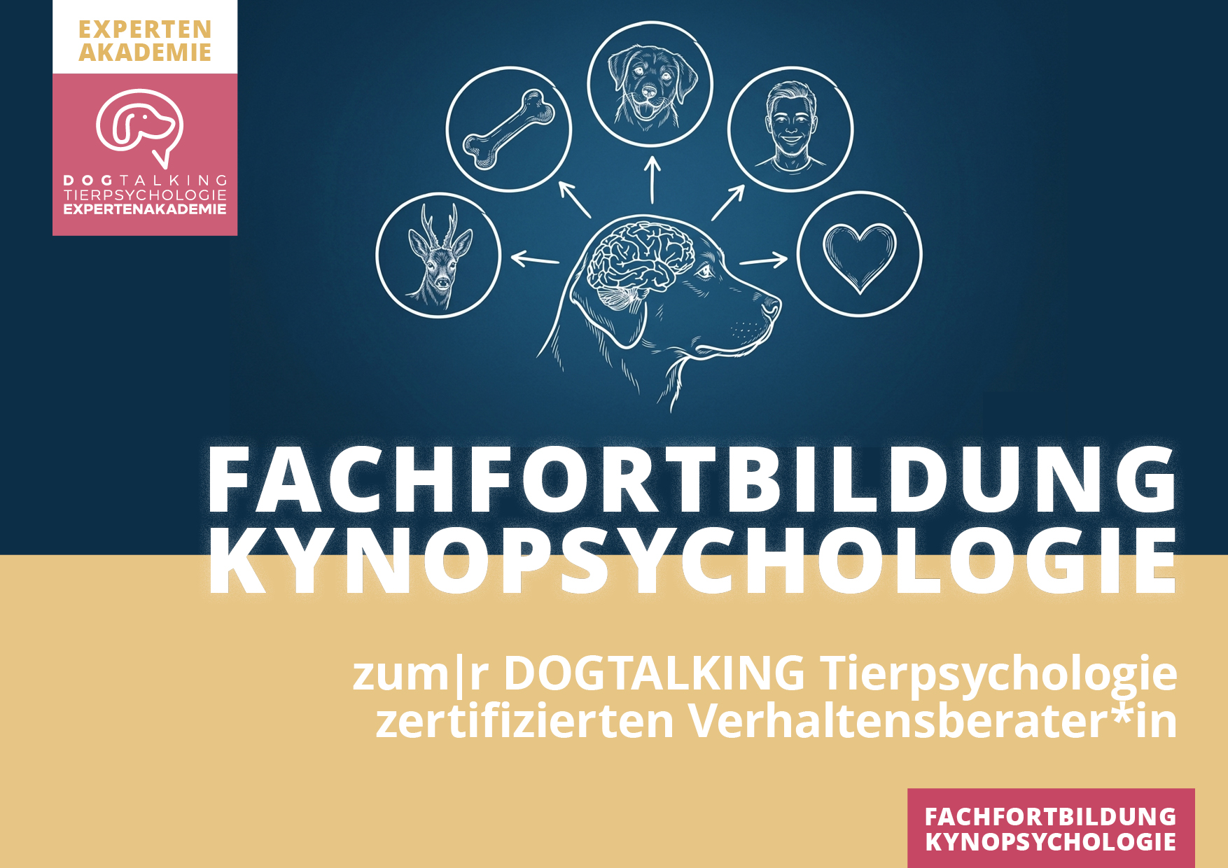 29./30.05.2027 Kognitions- und Lernpsychologie des Hundes - Workshop