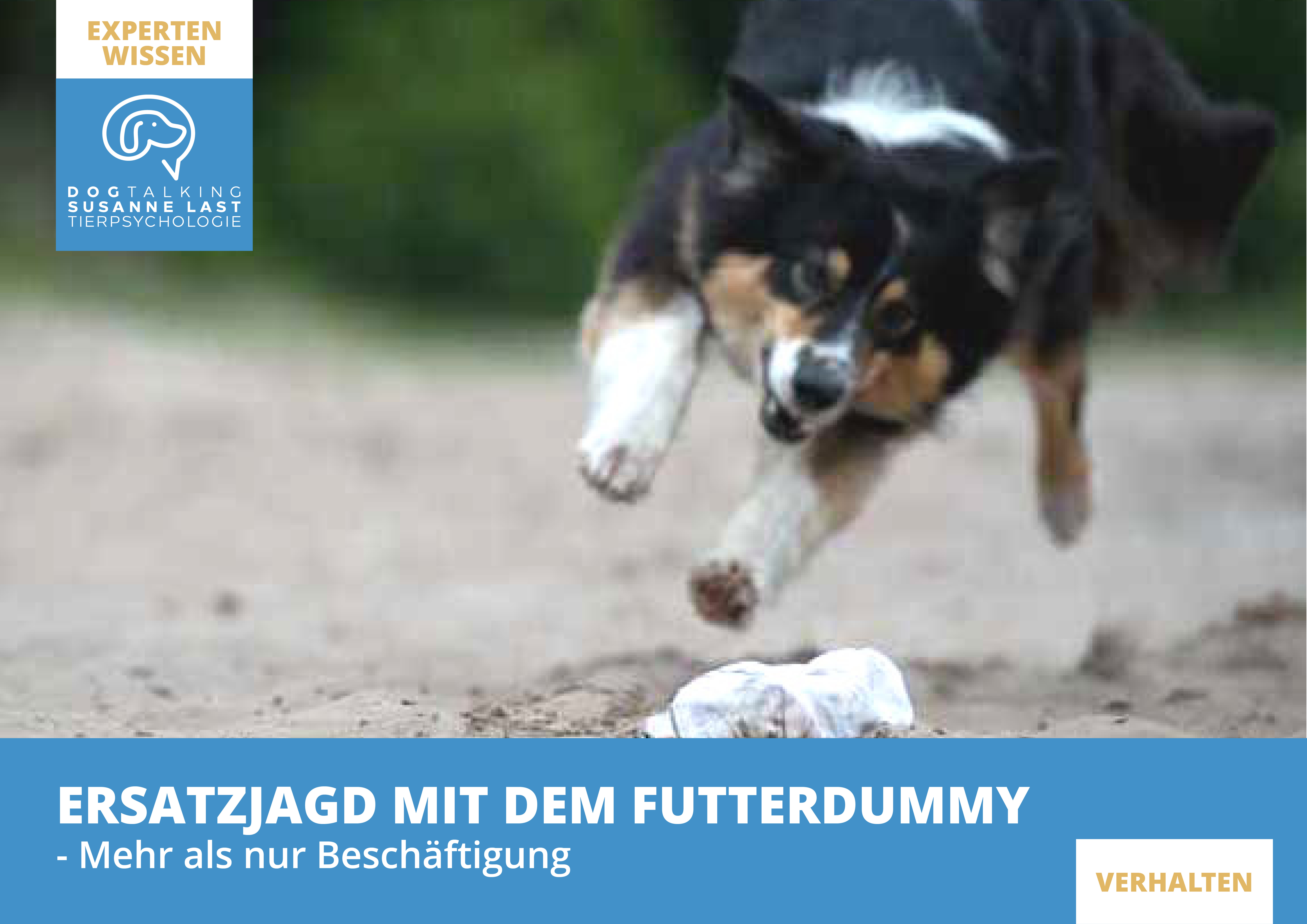 Ersatzjagd mit dem Futterdummy – Mehr als nur Beschäftigung