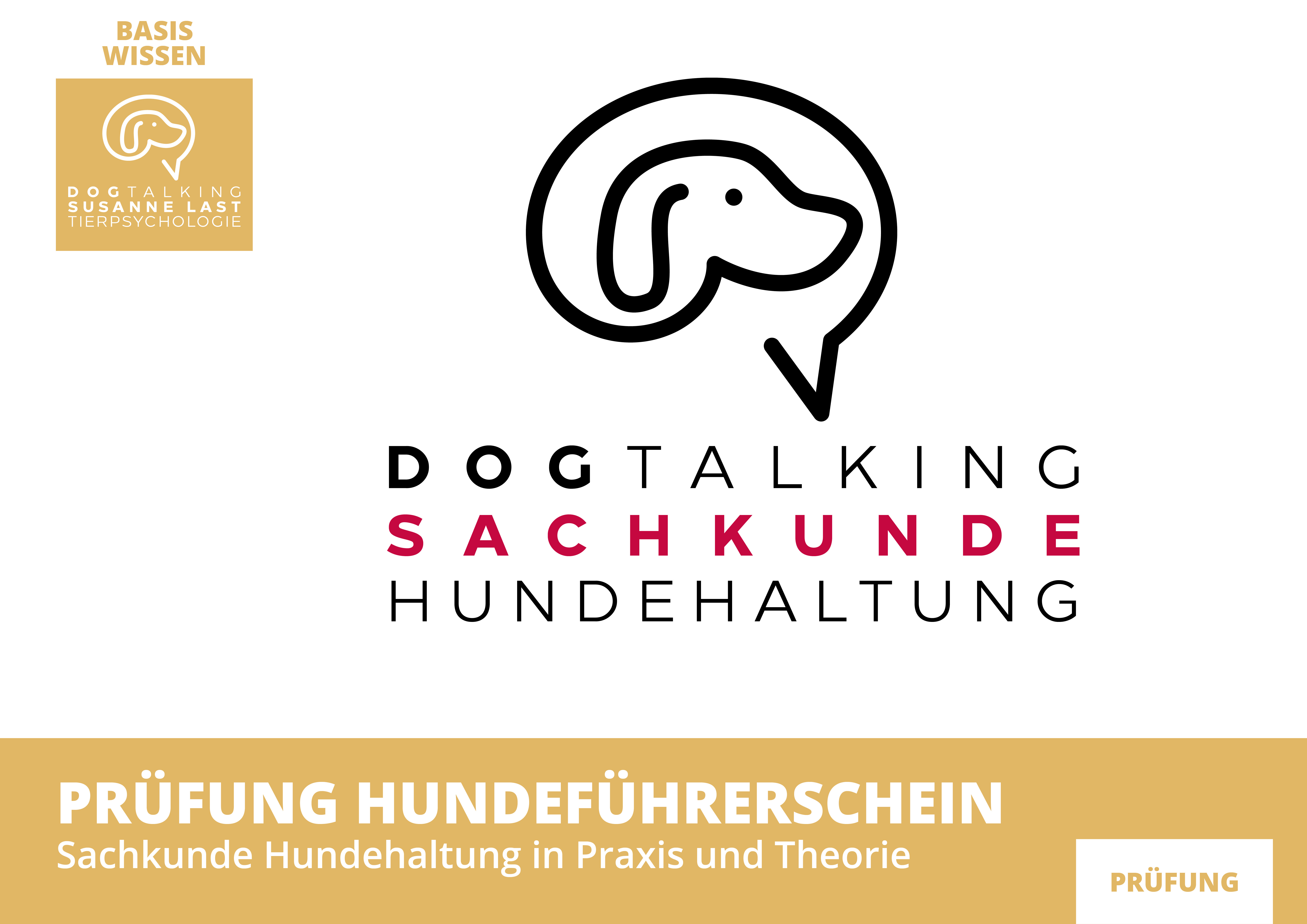 Prüfung Praxis & Theorie: Sachkunde Hundehaltung (Hundeführerschein)