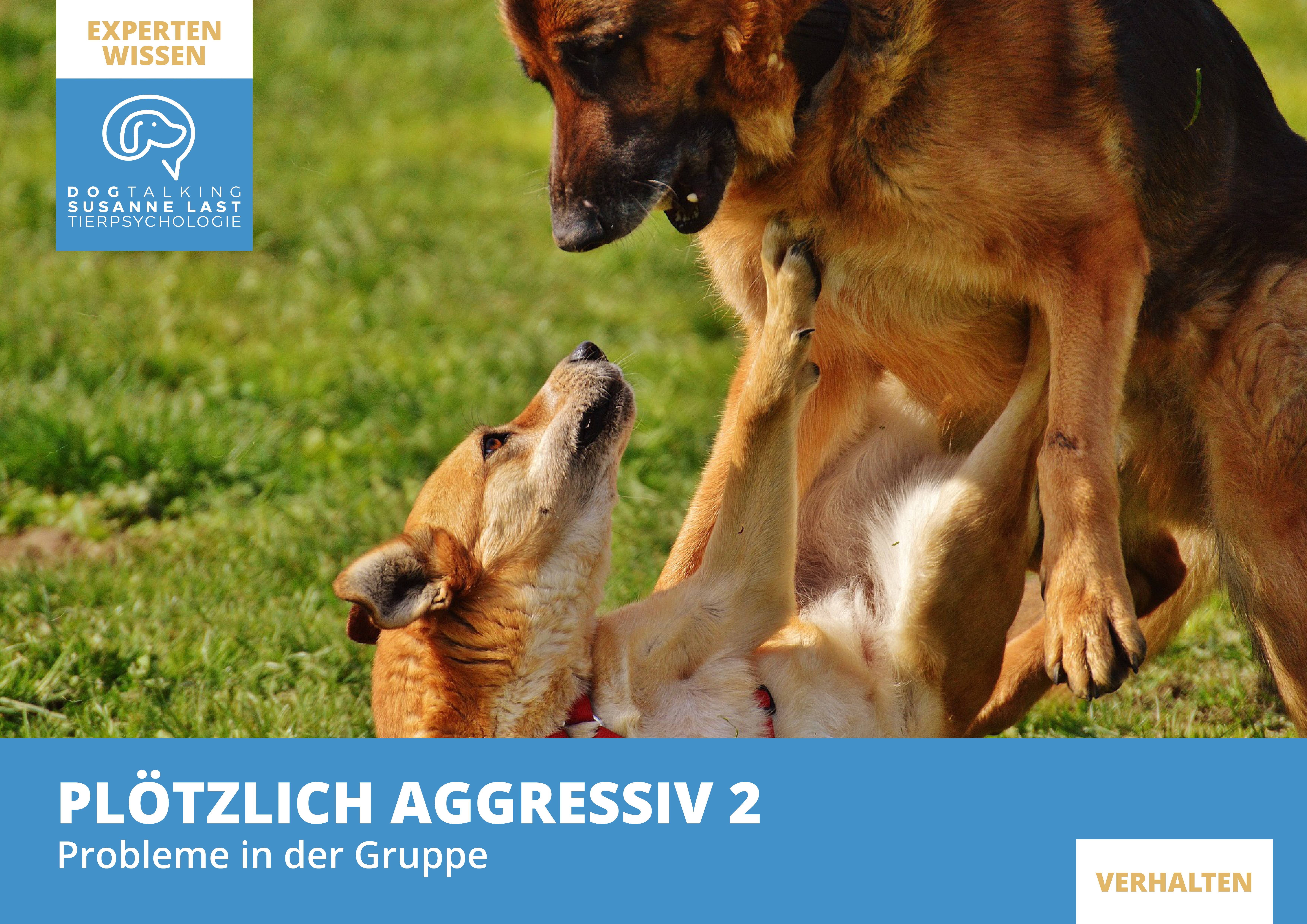 Plötzlich aggressiv Teil 2 - Probleme in der Gruppe zwischen Mensch und Hund