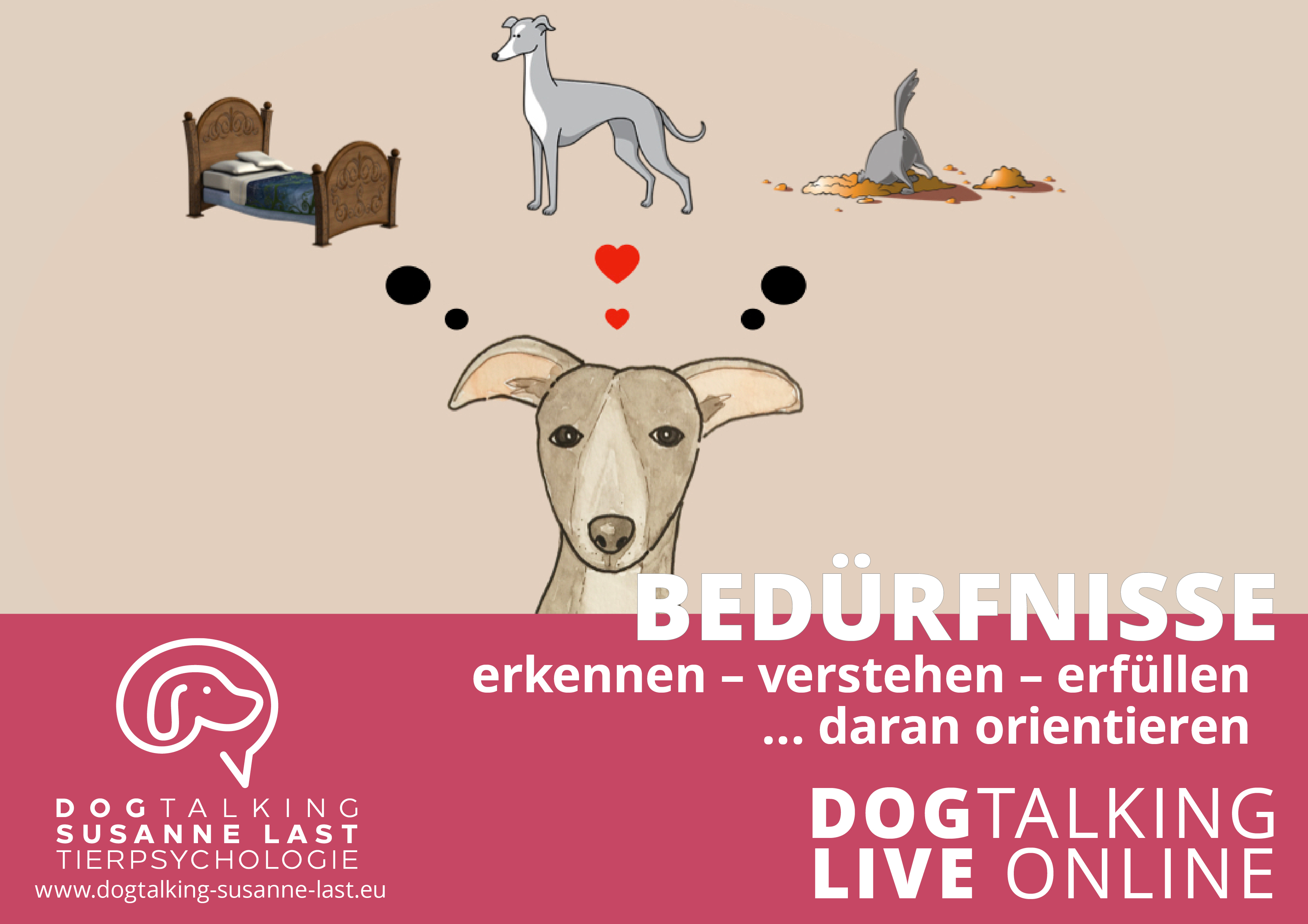Bedürfnisse - erkennen - verstehen - erfüllen