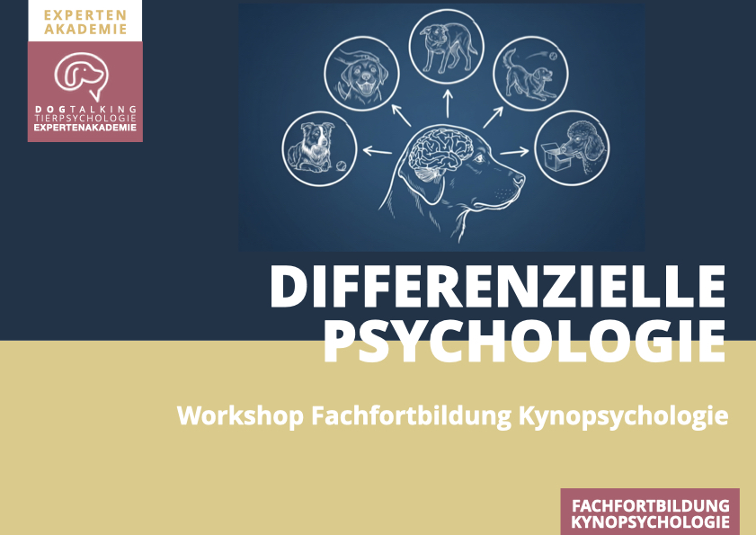 24./25.04.2027 Differenzielle- und Persönlichkeitspsychologie des Hundes - Workshop