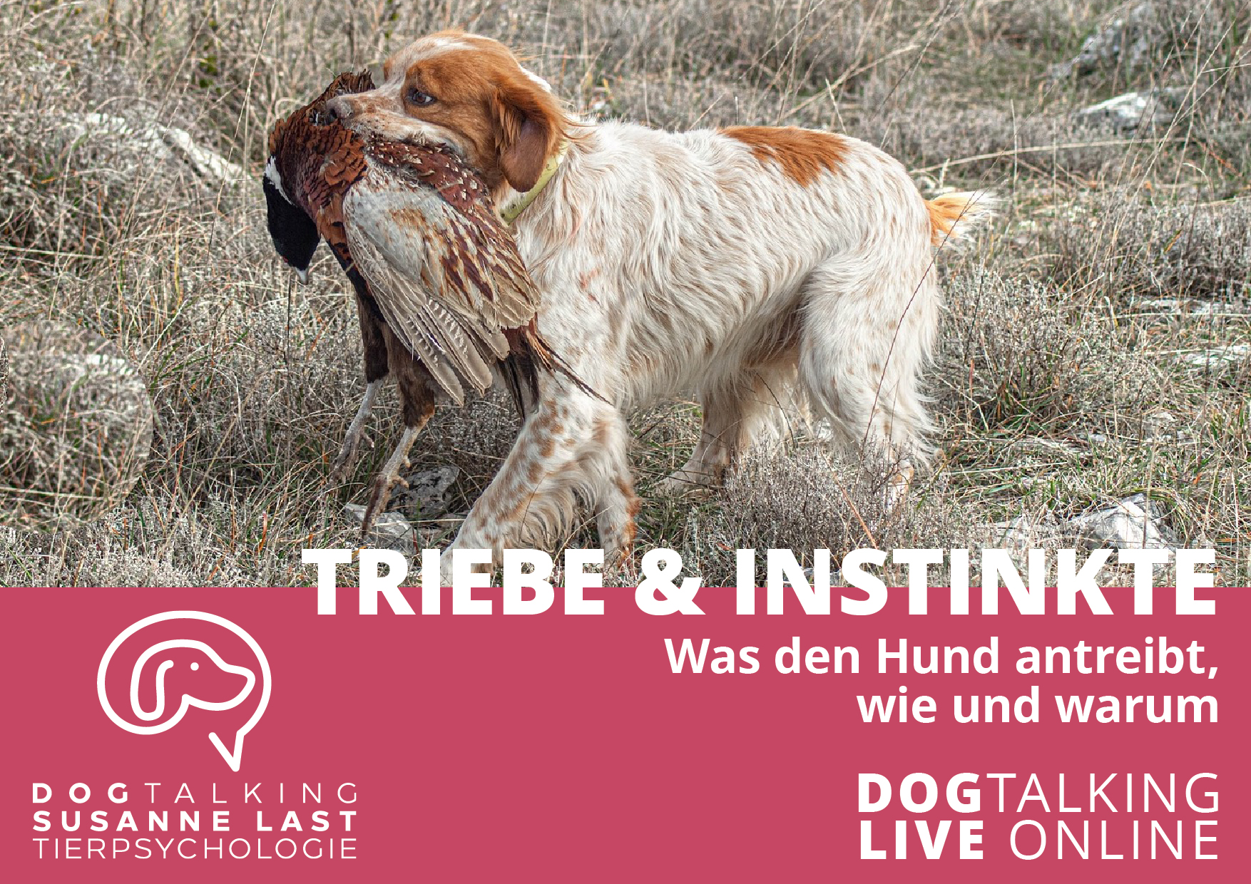 05.02.2026 Triebe & Instinkte - was den Hund antreibt wie und warum