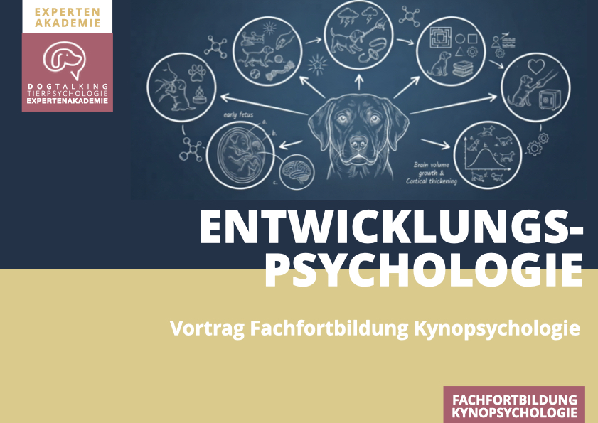 21.01.2027 Einführung in die Entwicklungspsychologie des Hundes - Vortrag