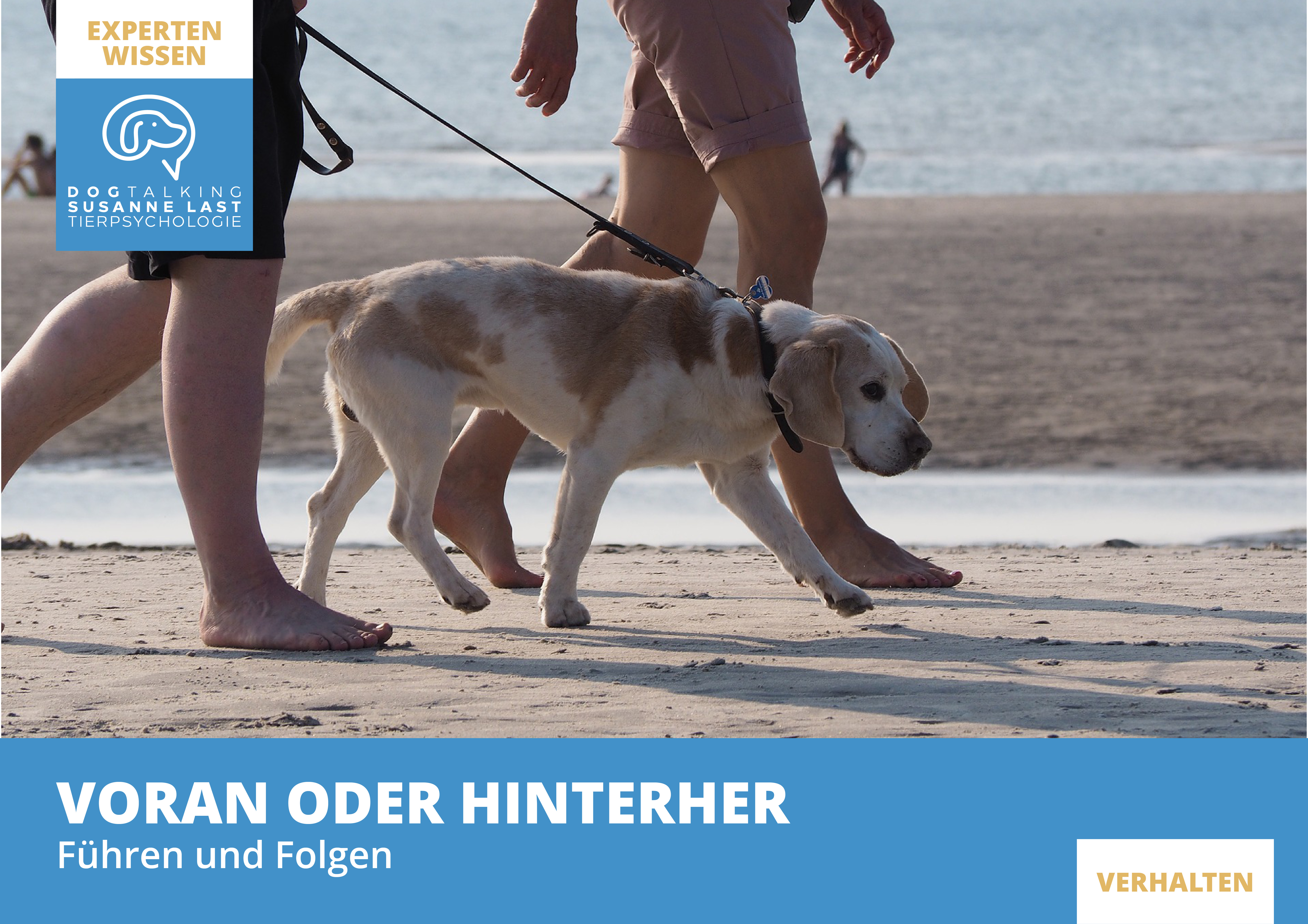 Voran oder hinterher? Bedeutsamkeit von Führung für Hunde und ihre Menschen