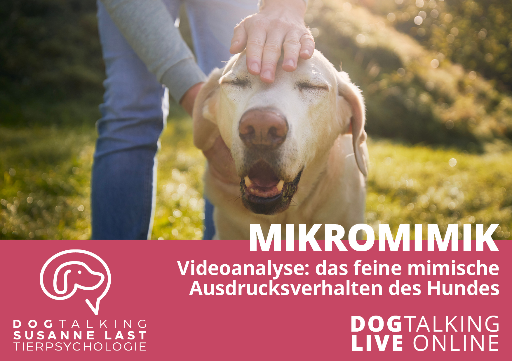 Mikromimik Videoanalyse: das feine mimische Ausdrucksverhalten des Hundes