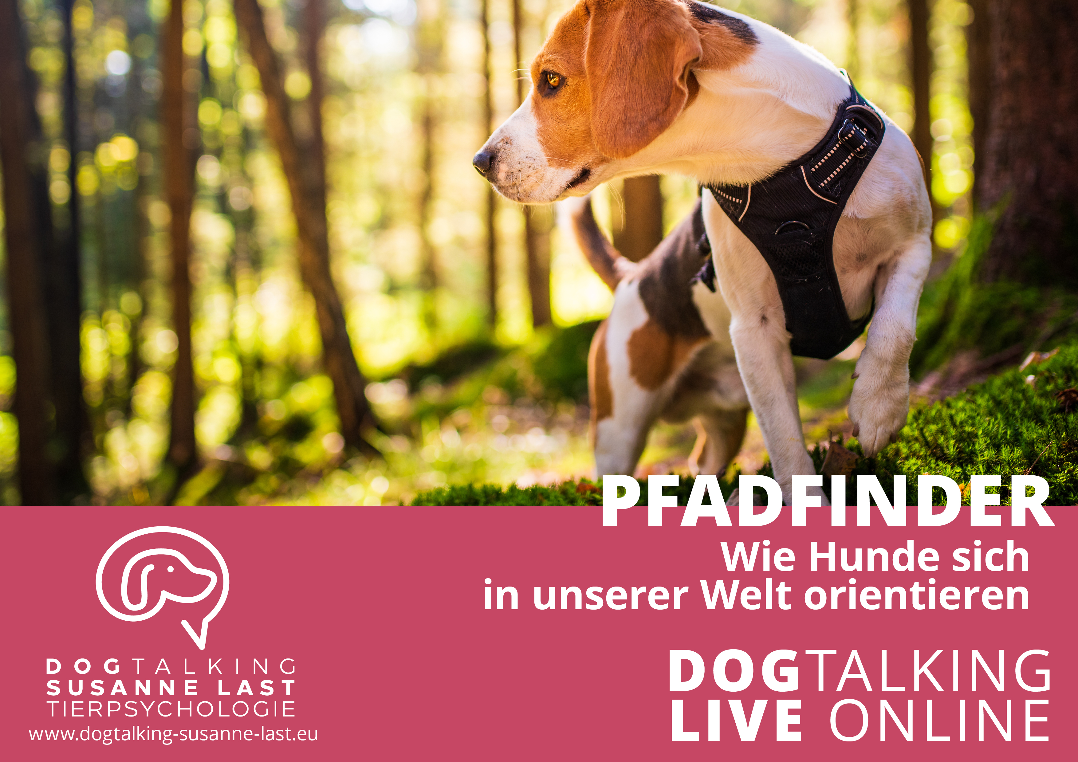 Pfadfinder - wie Hunde sich in unserer Welt orientieren