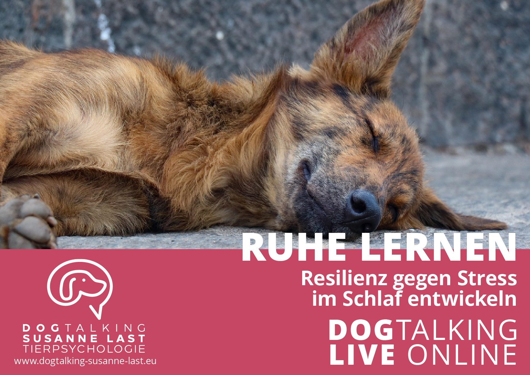 Ruhe lernen - Resilienz gegen Stress im Schlaf entwickeln